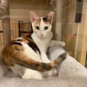 Meet your Posher, Jackie